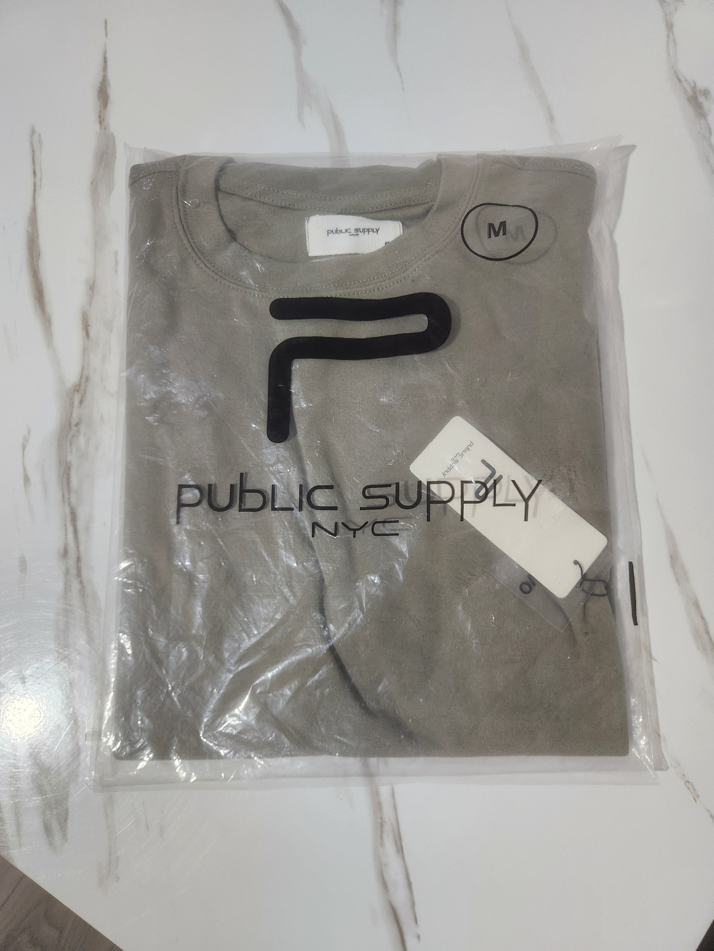 Public Supply NYC Men's Oversized Crew Neck T-Shirt in Sage Green